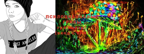 прущая мука Алзамай