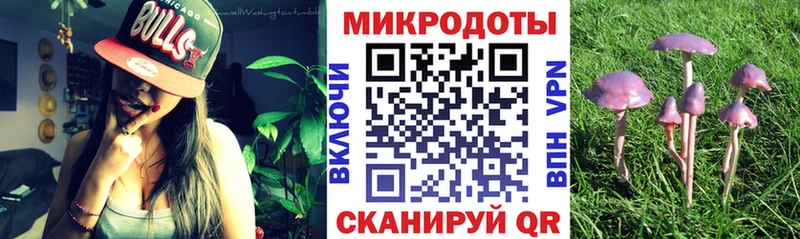Псилоцибиновые грибы Psilocybe  наркота  Ленинск-Кузнецкий 