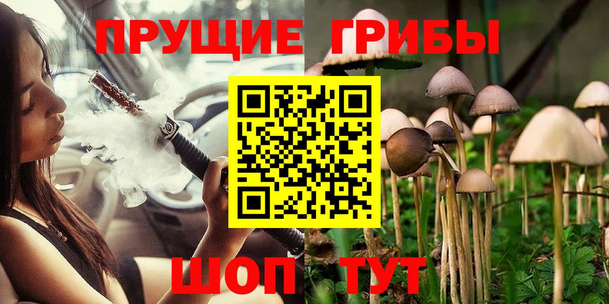Псилоцибиновые грибы мицелий Ленинск-Кузнецкий