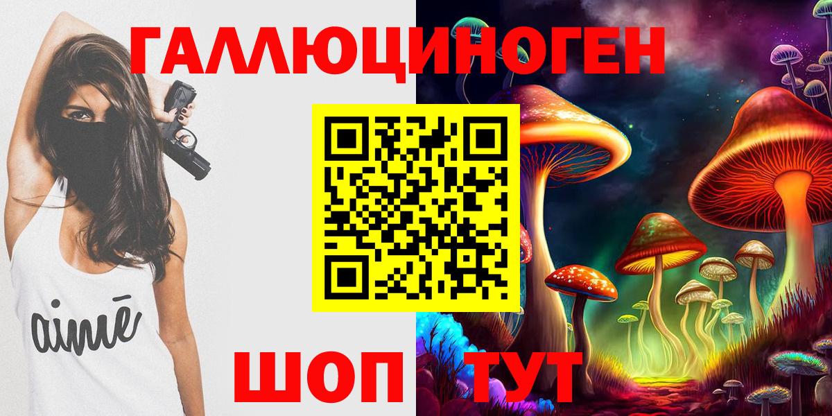 Ленинск-Кузнецкий  Псилоцибиновые грибы Psilocybine cubensis  Вход с VPN  Псилоцибиновые грибы мицелий 